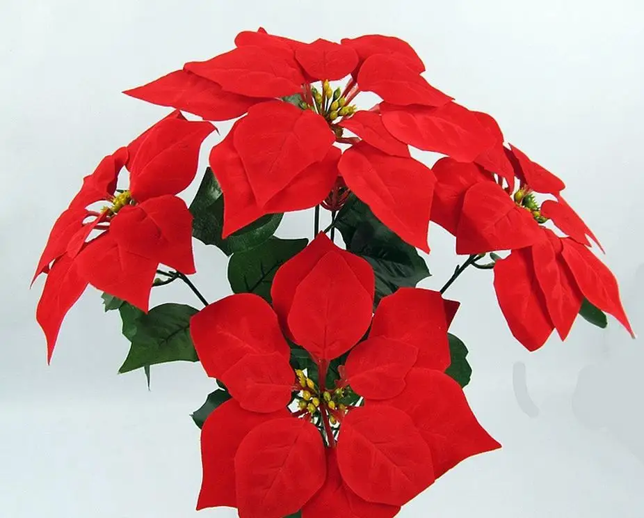 Decorative Flowers & Wreaths Poinsettia Christmas decoration fake flower artificial flowers silk flower shelf 3064.8
Decorative Flowers & Wreaths Poinsettia Christmas decoration fake flower artificial flowers silk flower shelf 3064.8