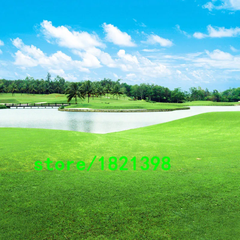 Image Hot Selling Turfgrass Grass Seeds (Golf Soccer Fields Villa) Special Grade Evergreen Lawn Seeds 1200 Seeds