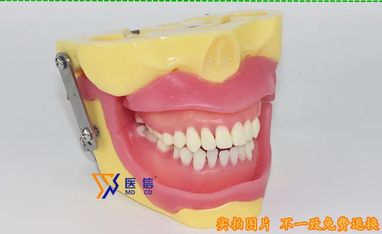//img.alicdn.com/imgextra/i4/466366108/TB2_K2DtpXXXXXVXpXXXXXXXXXX_!!466366108.jpg