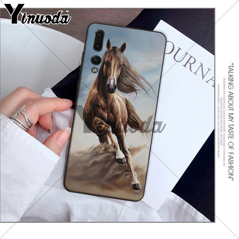 andalusian horse
