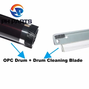 OPC DRUM Cleaning Blade for Kyocera FS1016 FS1028 FS1100 FS1128 FS1035 FS1120 FS1135 FS1320 FS1350 FS1370 FS1300 FS720 KM2810
OPC DRUM Cleaning Blade for Kyocera FS1016 FS1028 FS1100 FS1128 FS1035 FS1120 FS1135 FS1320 FS1350 FS1370 FS1300 FS720 KM2810