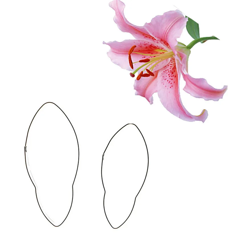 2pcs/set Lily Flower Cookie Cutter Mold Stainless Steel Pastry Biscuit Fondant Baking Mold Cake Decorating Tools
2pcs/set Lily Flower Cookie Cutter Mold Stainless Steel Pastry Biscuit Fondant Baking Mold Cake Decorating Tools