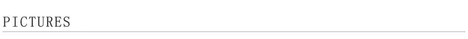 pictures