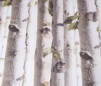 PVC 3D Birch Wood Tree Wallpaper for Bedroom Modern Design Living Room Wall Paper Roll Rustic Forest Woods Wallpapers 10M
PVC 3D Birch Wood Tree Wallpaper for Bedroom Modern Design Living Room Wall Paper Roll Rustic Forest Woods Wallpapers 10M