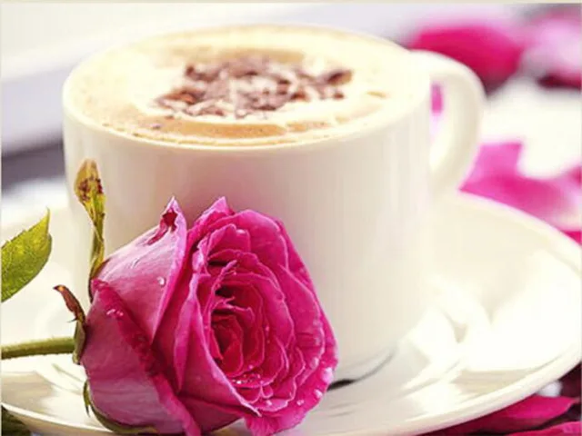 Square Drill DIY 5D Diamond Fresh And Stylish Cappuccino And Roses Painting Cross Stitch Embroidery Patterns Mosaic
Square Drill DIY 5D Diamond Fresh And Stylish Cappuccino And Roses Painting Cross Stitch Embroidery Patterns Mosaic