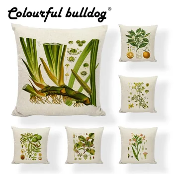 Cushion Cover Herb Linen Cotton Hazelnuts Acorn Poppies Rue Sour Cherries Seed Throw Pillows Home Decor Garden Gifts Pillowcases
Cushion Cover Herb Linen Cotton Hazelnuts Acorn Poppies Rue Sour Cherries Seed Throw Pillows Home Decor Garden Gifts Pillowcases