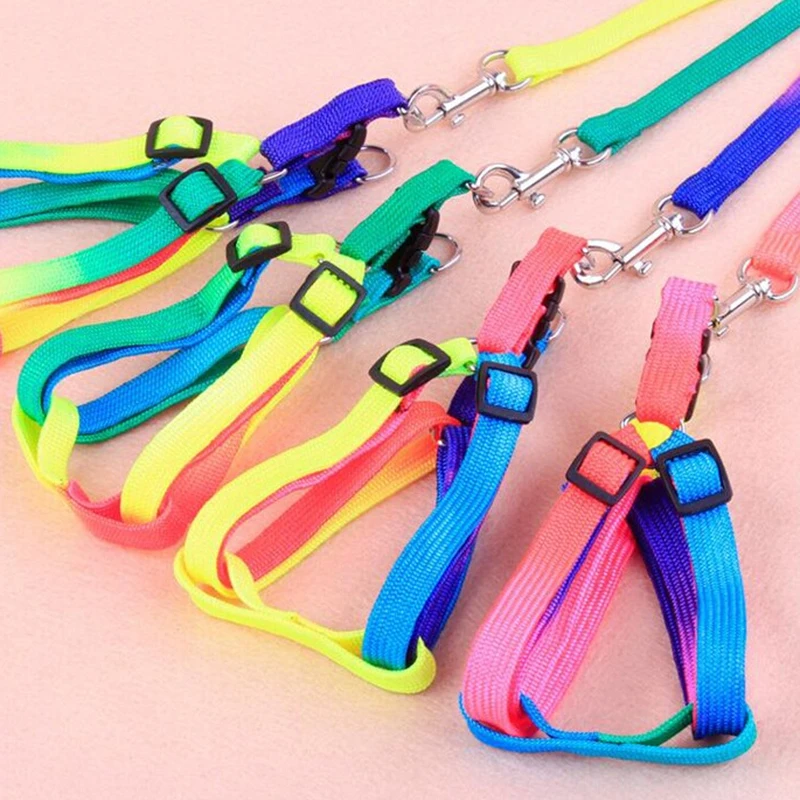 Pretty Rainbow Color Pet Small Dog Puppy Collar Leash Soft Walking Harness Lead Perro Mascota Aprovechar
Pretty Rainbow Color Pet Small Dog Puppy Collar Leash Soft Walking Harness Lead Perro Mascota Aprovechar