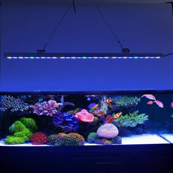 Abay 54W LEDs Aquarium Lighting Aquatic Plant Light 55CM Full Waterproof AC85~265V Plants Light For Fish Tank/aquatic plants
Abay 54W LEDs Aquarium Lighting Aquatic Plant Light 55CM Full Waterproof AC85~265V Plants Light For Fish Tank/aquatic plants