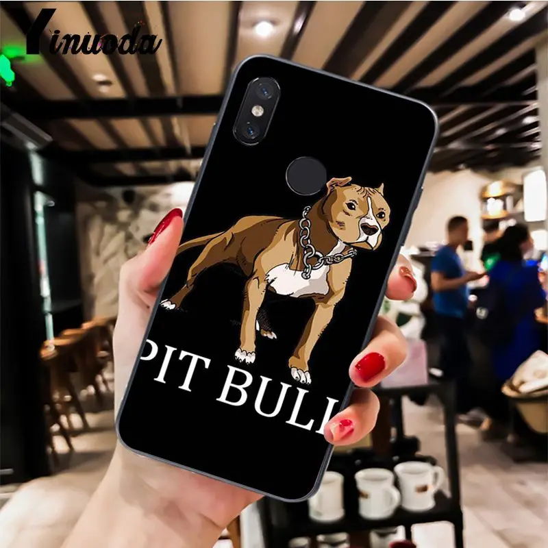 Pit Bull Dog Pitbull Puppy Animal