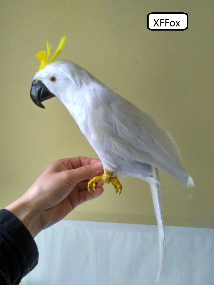 Новая реальная жизнь Белый попугай Модель Пена и перо милый симулятор Cockatoo Птица Подарок около 43 см xf0191
Новая реальная жизнь Белый попугай Модель Пена и перо милый симулятор Cockatoo Птица Подарок около 43 см xf0191