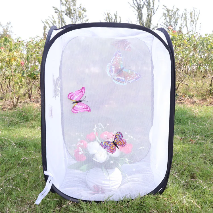 Folding Insect Observation Cage Butterfly Box Experimental Observation Foldable Fabric Insect Net Pet House Butterfly Farm House
Folding Insect Observation Cage Butterfly Box Experimental Observation Foldable Fabric Insect Net Pet House Butterfly Farm House