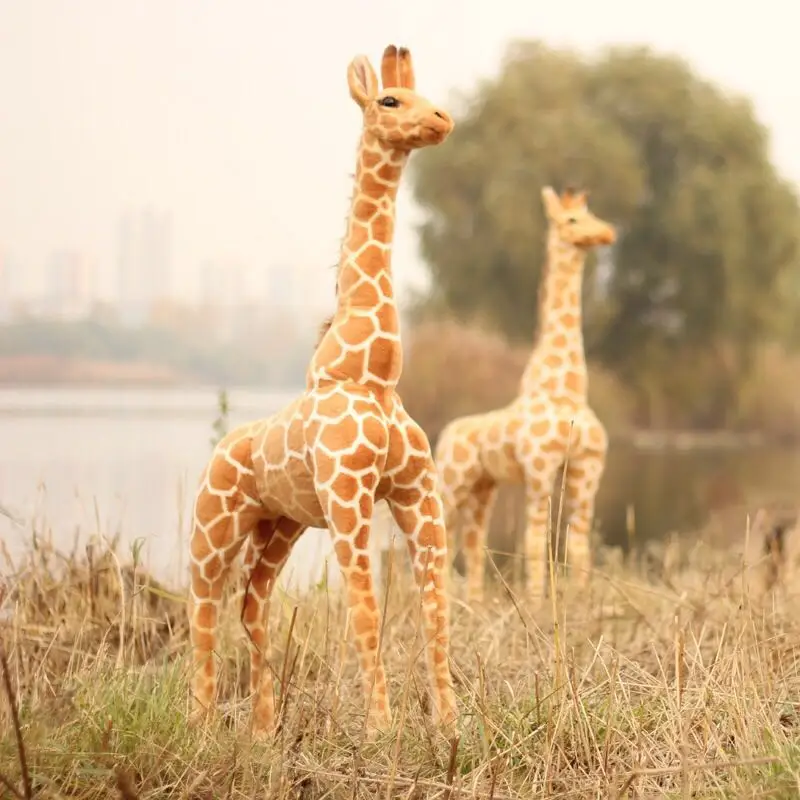60-120 cm Big Size Simulation Giraffe Plush Toy Stuffed Soft Lifelike Wild Animal Doll High Quality Toys Gifts For Kids Children
60-120 cm Big Size Simulation Giraffe Plush Toy Stuffed Soft Lifelike Wild Animal Doll High Quality Toys Gifts For Kids Children