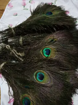 Wholesale perfect 10pcs high quality natural Peacock feathers 10-12inch/25-30cm Decorative diy
Wholesale perfect 10pcs high quality natural Peacock feathers 10-12inch/25-30cm Decorative diy