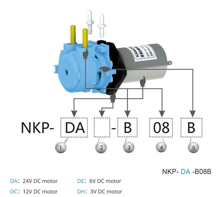 nkp(1)_10