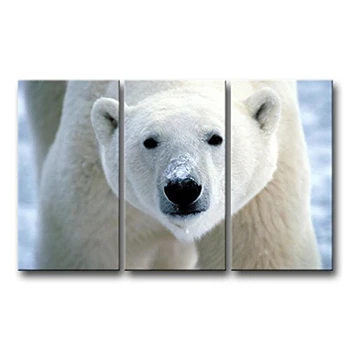 3 Piece Wall Art Painting Polar Bear Face Prints Canvas Picture Animal Pictures For Home Modern Decoration Print Decor
3 Piece Wall Art Painting Polar Bear Face Prints Canvas Picture Animal Pictures For Home Modern Decoration Print Decor
