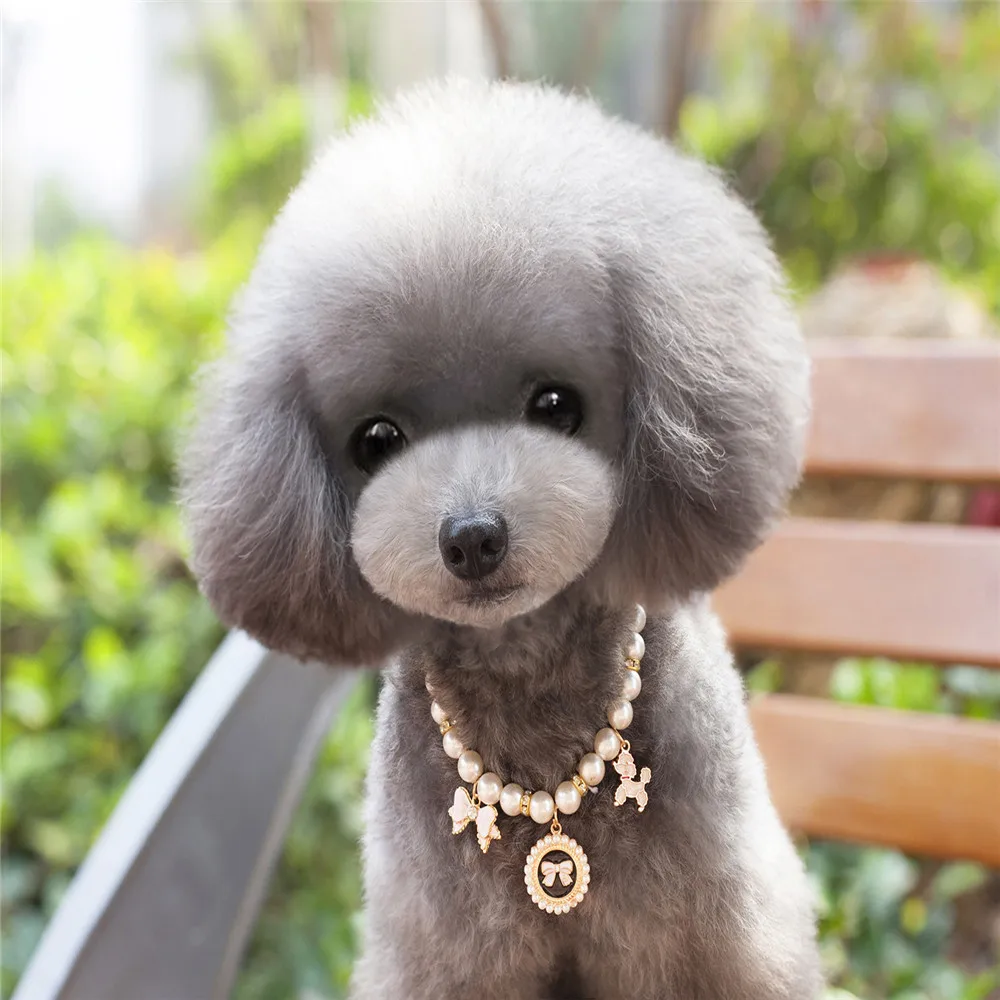 Fashion Pearl Collar Pet Accessories Pet Dog Tag Collar Custom Puppy Cat Nameplate Collars Adjustable For Medium Large Dogs #X
Fashion Pearl Collar Pet Accessories Pet Dog Tag Collar Custom Puppy Cat Nameplate Collars Adjustable For Medium Large Dogs #X