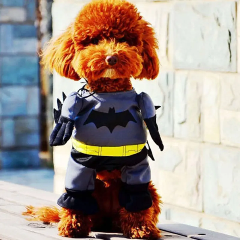 Batman Shaped Pet Dog Clothes Charming Costume Outfit Teddy Clothes Shawl Mantle Fancy Dress Superhero Dog Apparel Jumpsuit
Batman Shaped Pet Dog Clothes Charming Costume Outfit Teddy Clothes Shawl Mantle Fancy Dress Superhero Dog Apparel Jumpsuit