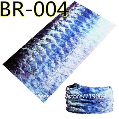 BR-004-5210