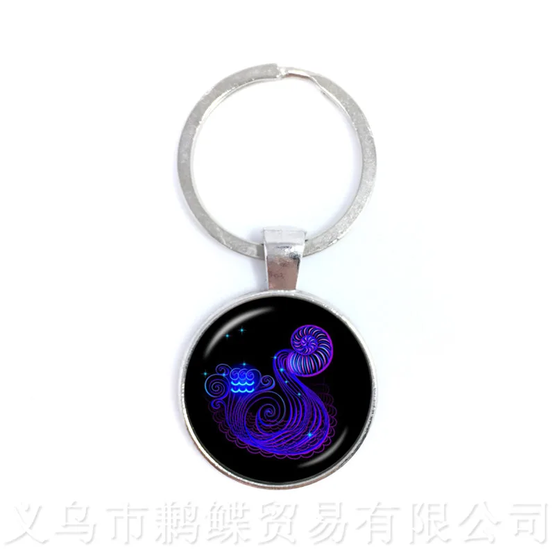 Scorpio,Sagittarius,Aquarius,Pisces Zodiac Signs Keychains Twelve Constellations Cabochon Glass Time Gem Birthday StarSign Gift
Scorpio,Sagittarius,Aquarius,Pisces Zodiac Signs Keychains Twelve Constellations Cabochon Glass Time Gem Birthday StarSign Gift
