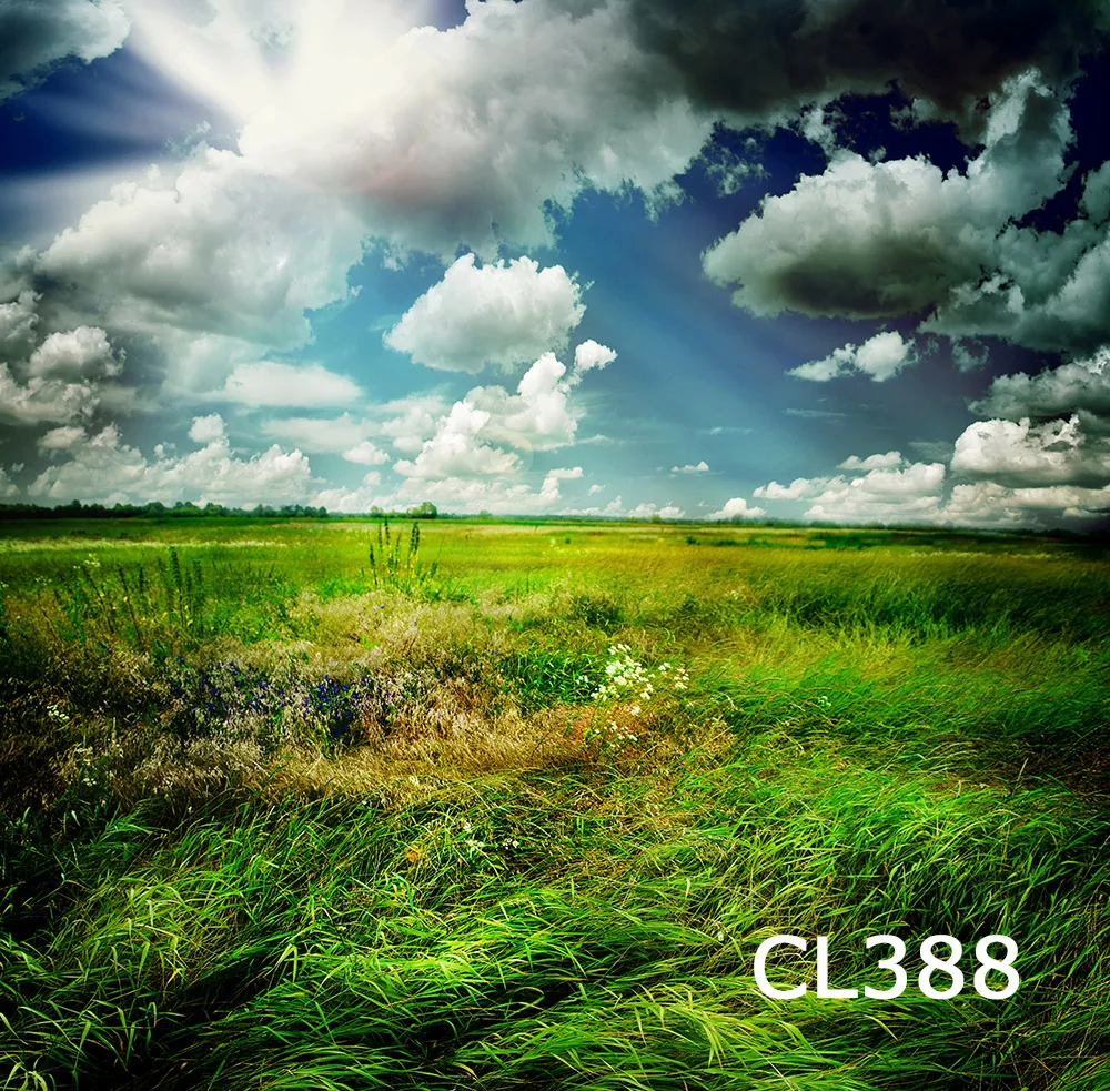CL388