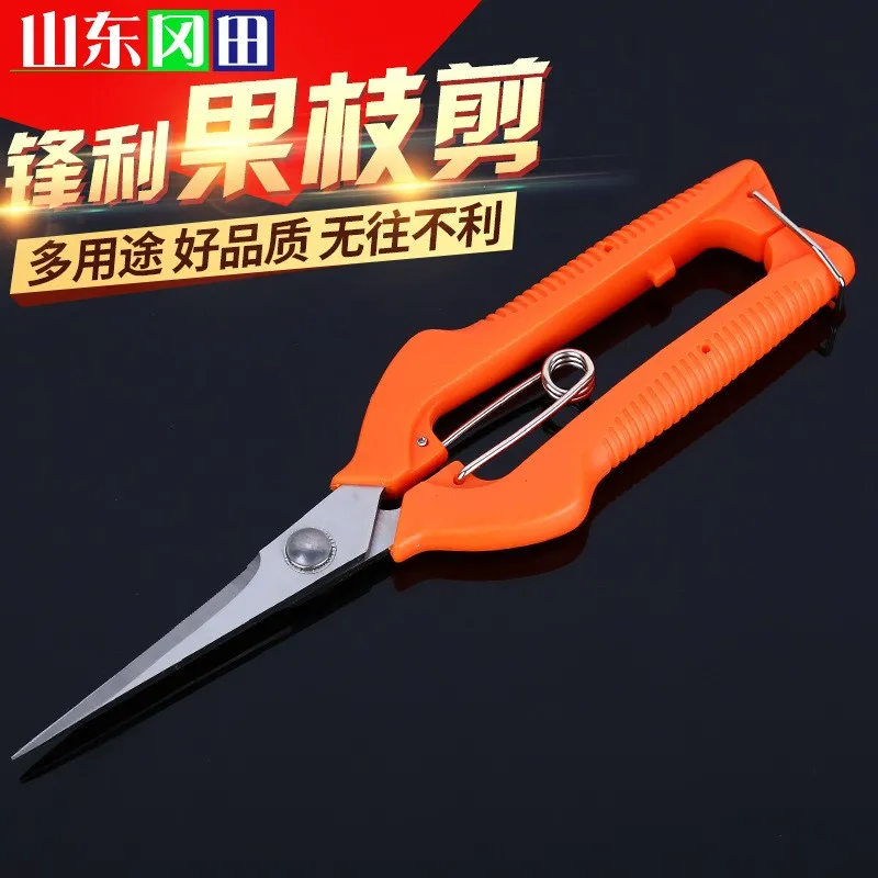 Source Supply Ivy Fruit and Vegetable Pruning and Durable Stainless Steel Garden Fruit Tree Pruning Elbow Orchard Pruning and Pr
Source Supply Ivy Fruit and Vegetable Pruning and Durable Stainless Steel Garden Fruit Tree Pruning Elbow Orchard Pruning and Pr