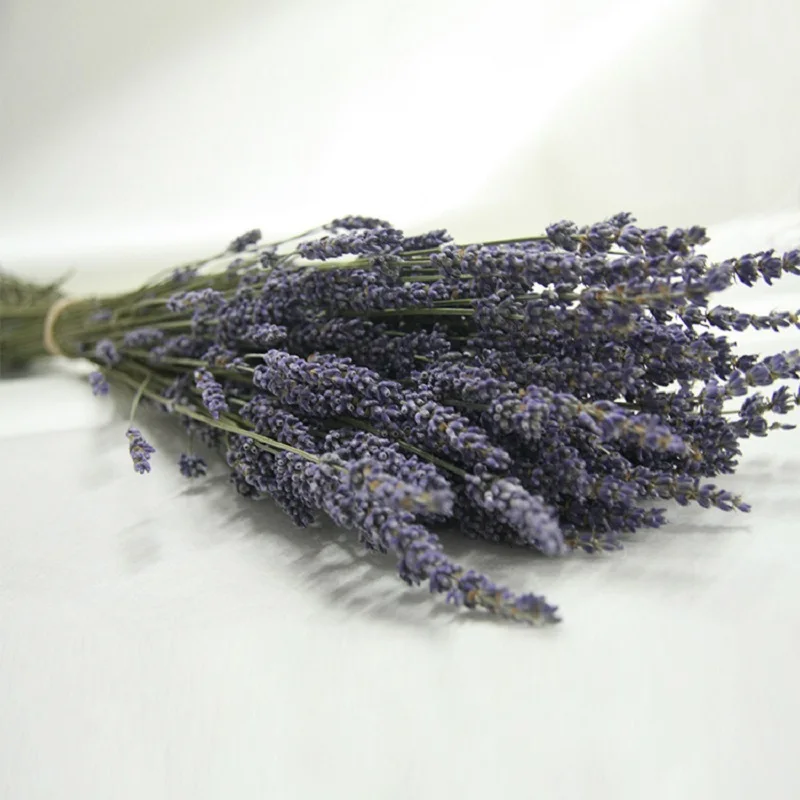 80 Heads/Bouquet Romantic Provence Artificial Flower Purple Lavender Bouquet with Green Leaves for Home Party Decorations
80 Heads/Bouquet Romantic Provence Artificial Flower Purple Lavender Bouquet with Green Leaves for Home Party Decorations