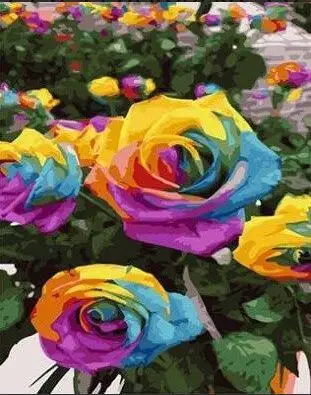 Painting by numbers flowers Multicolored roses wall decor acrylic brush painting paint coloring by numbers on canvas