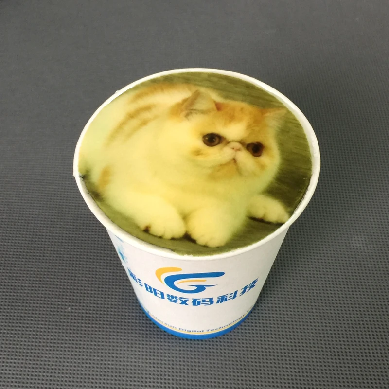 (4)