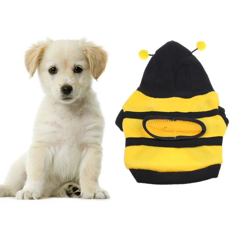New Dogs Pets Clothes Cute Bumble Bee Lovely Wings Dog Pet Clothes ropa para perros XT
New Dogs Pets Clothes Cute Bumble Bee Lovely Wings Dog Pet Clothes ropa para perros XT