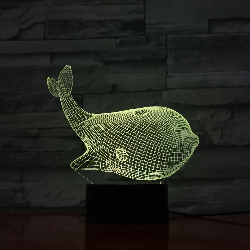 IMG_2549