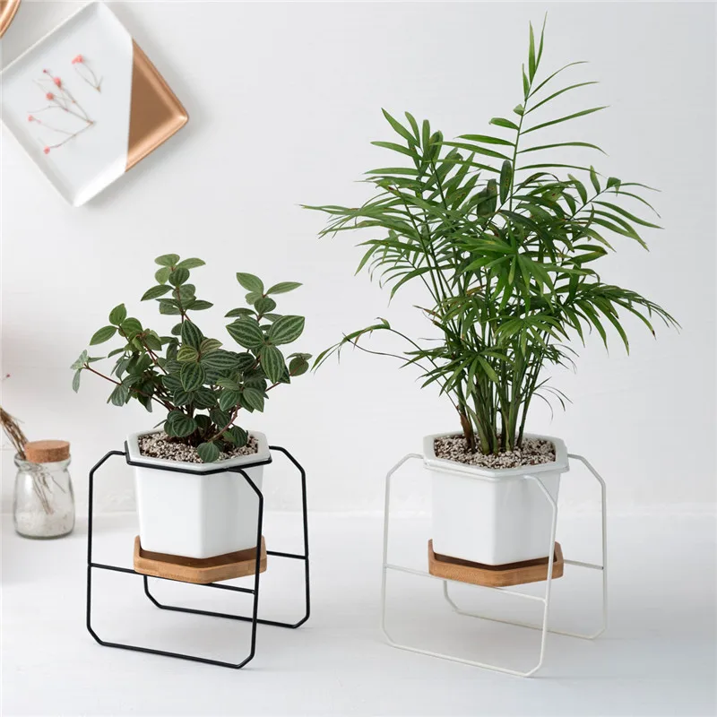 Three-piece Suit Nordic Wrought Iron Hexagonal Simple INS Ceramic Flower Pot Bamboo Flower Stand Iron Frame Set Home Decor
Three-piece Suit Nordic Wrought Iron Hexagonal Simple INS Ceramic Flower Pot Bamboo Flower Stand Iron Frame Set Home Decor