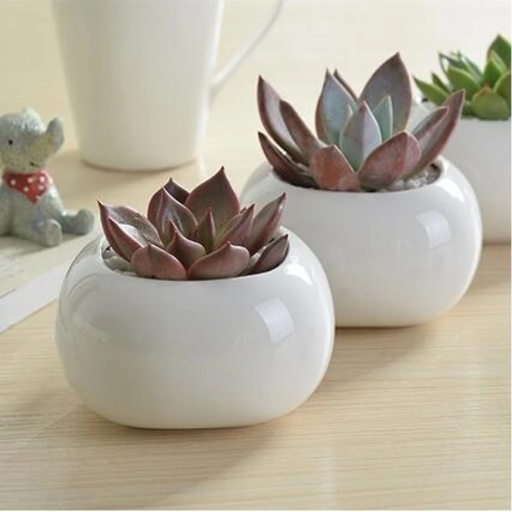 8.5cm Diameter Bread Shape White Ivory Glazed Ceramic Small Flower Pot for Succulent Plant Succulent Plant Small Porcelain Pot
8.5cm Diameter Bread Shape White Ivory Glazed Ceramic Small Flower Pot for Succulent Plant Succulent Plant Small Porcelain Pot