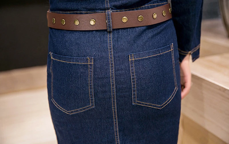 HTB1A9irLpXXXXbuXXXXq6xXFXXX3