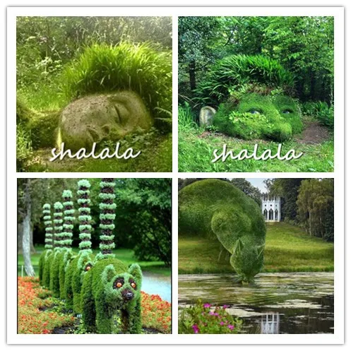 200 Pcs Spring rare green Grass Plant Succulents Grass DIY bonsai Potted Garden Home Exotic Plant Spiral Ornamental Interesting
200 Pcs Spring rare green Grass Plant Succulents Grass DIY bonsai Potted Garden Home Exotic Plant Spiral Ornamental Interesting