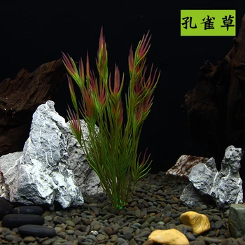 Home Fish Aquatic Decorations Aquarium Landscaping plastic Simulation Green Seaweed grass Plants Background Scenery 6pcs/lot
Home Fish Aquatic Decorations Aquarium Landscaping plastic Simulation Green Seaweed grass Plants Background Scenery 6pcs/lot