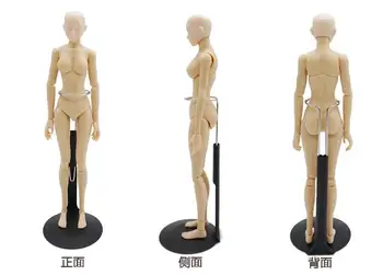 sketch cartoon drawing female mannequin model plastic massage model 
sketch cartoon drawing female mannequin model plastic massage model