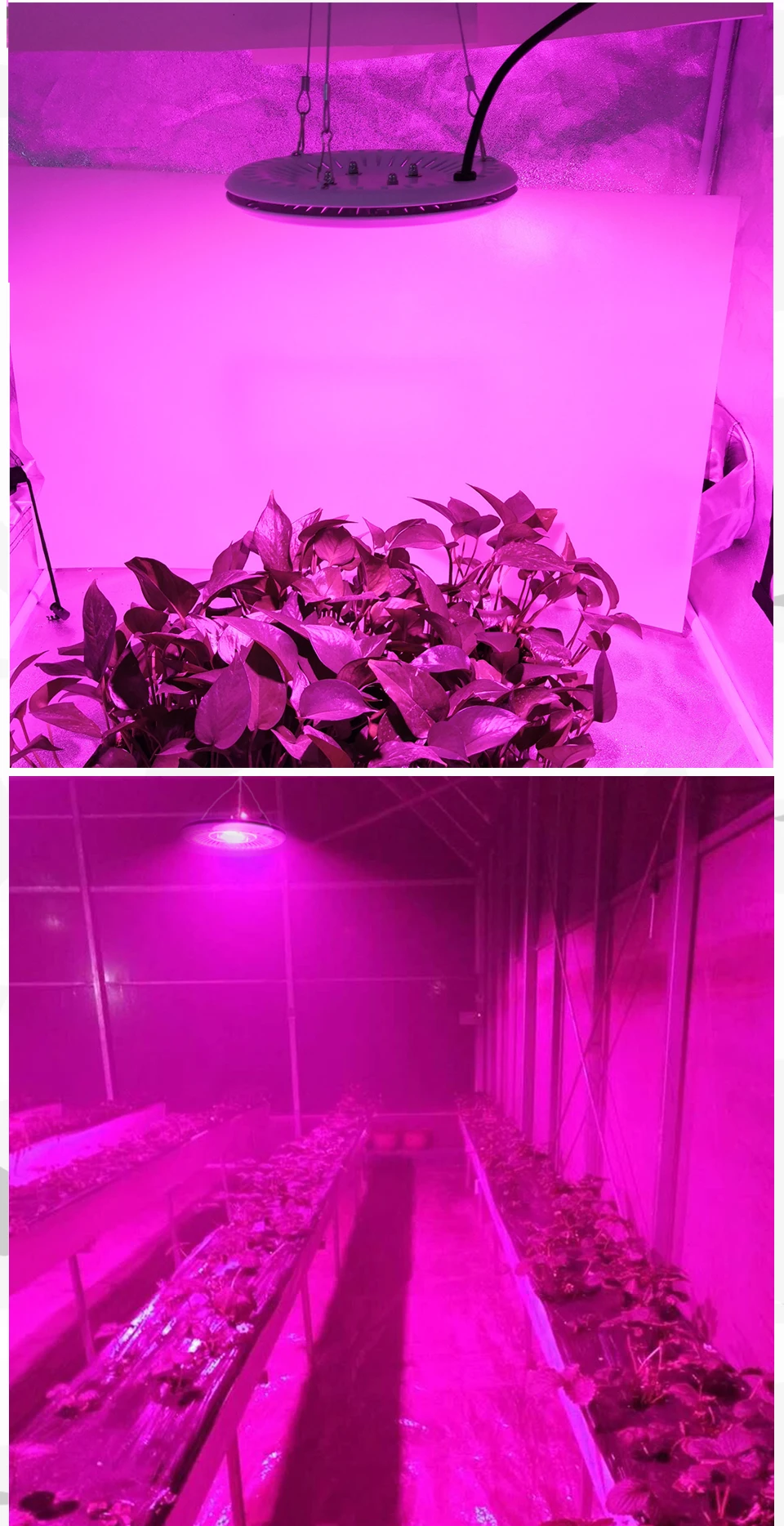1-Fitolamp-LED-Grow-Light-Phyto-Lamp-For-Plants-Indoor-Plant-Lights-Flower-Fitolampy-Garden-Fito-Led-Greenhouse-Vegs-Grow-Tent-Box_07