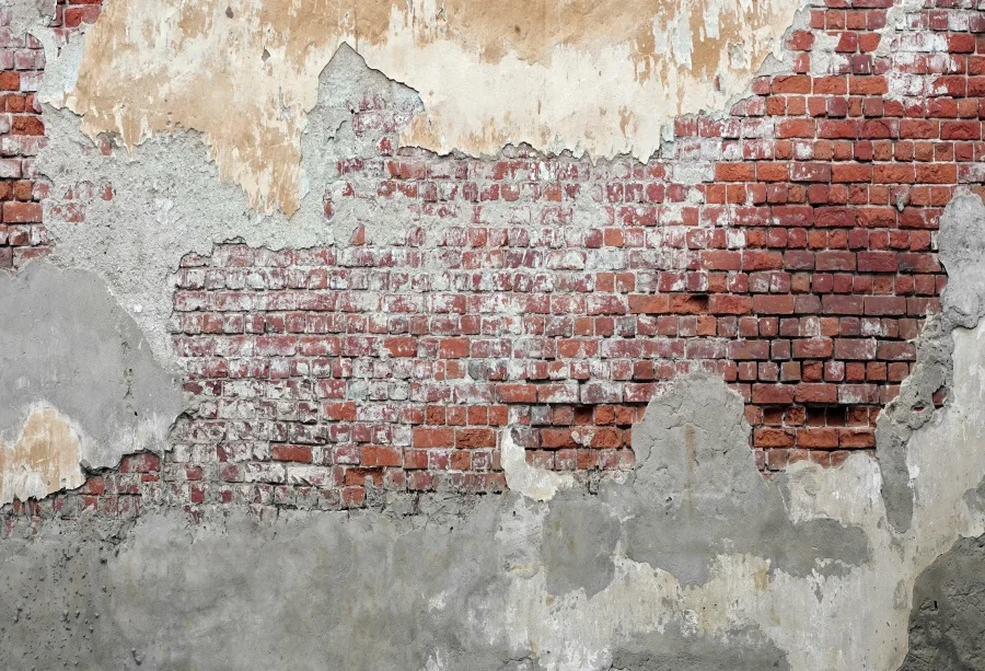 Laeacco Old Cement Brick Wall Party Baby Child Portrait Pattern Photography Backgrounds Photographic Backdrops For Photo Studio
Laeacco Old Cement Brick Wall Party Baby Child Portrait Pattern Photography Backgrounds Photographic Backdrops For Photo Studio