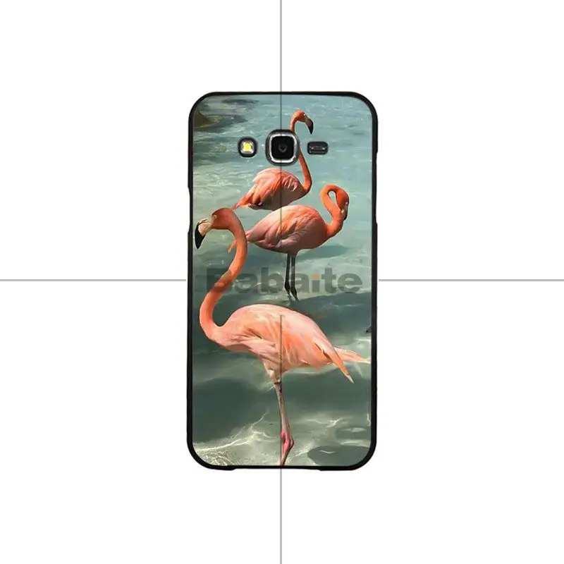 Flamingos Flowers