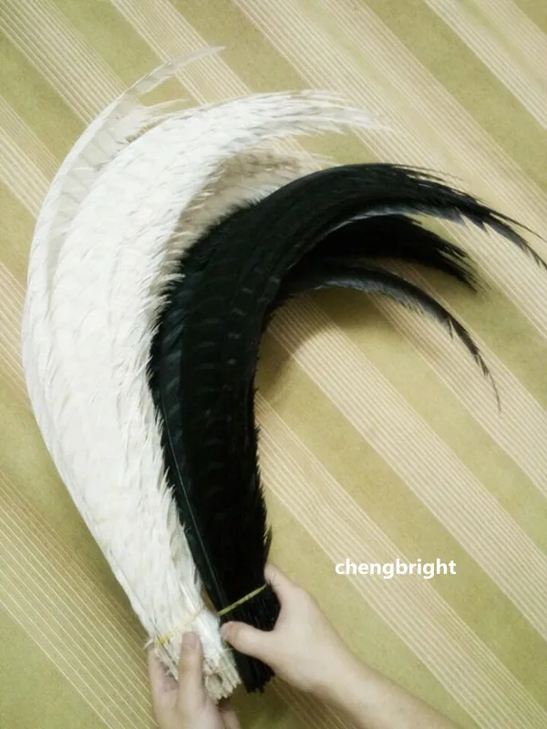 Оптовая продажа, 50 шт., натуральные перья LadyAmherst'sPheasant, свадебные, 80-90 см/32-36 дюймов, для выступлений на сцене, для карнавала, белый/черный
Оптовая продажа, 50 шт., натуральные перья LadyAmherst'sPheasant, свадебные, 80-90 см/32-36 дюймов, для выступлений на сцене, для карнавала, белый/черный