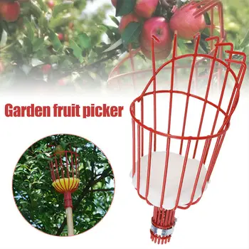 Fruit Picker Basket Catcher Picking Fresh Orange Garden Tools for Broom Pole Stick H99F
Fruit Picker Basket Catcher Picking Fresh Orange Garden Tools for Broom Pole Stick H99F