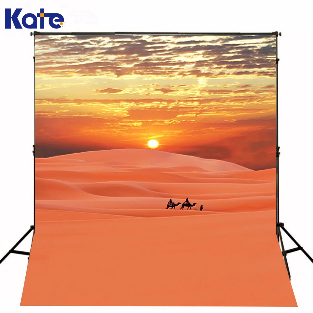 

300Cm*200Cm(About 10Ft*6.5Ft) Fundo Desert Sunset Views3D Baby Photography Backdrop Background Lk 2039