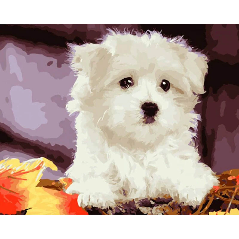 Little white dog Hand Made Paint High Quality Canvas Beautiful Painting By Numbers Surprise Gift Great Accomplishment
Little white dog Hand Made Paint High Quality Canvas Beautiful Painting By Numbers Surprise Gift Great Accomplishment