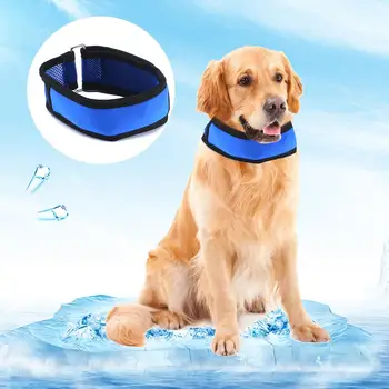 Dog Collar Summer Pet Dog Cat Cooling Collars Self Cooler Necklace Dog Adjustable Chain Cooling Collarer With Removable Gel Pack
Dog Collar Summer Pet Dog Cat Cooling Collars Self Cooler Necklace Dog Adjustable Chain Cooling Collarer With Removable Gel Pack