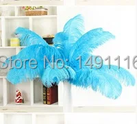 Wholesale 10 pcs/ lot high quality Light Blue ostrich feathers 18-20inches /45-50cm DIY jewelry decoration / wedding celebration
Wholesale 10 pcs/ lot high quality Light Blue ostrich feathers 18-20inches /45-50cm DIY jewelry decoration / wedding celebration