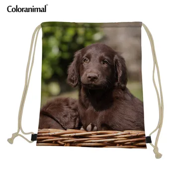 Coloranimal Gym Sack Bag for Men String Drawstring Bag for Men Flat-Coated Retriever Pattern Travel Beach Mini Backpack Satchel
Coloranimal Gym Sack Bag for Men String Drawstring Bag for Men Flat-Coated Retriever Pattern Travel Beach Mini Backpack Satchel