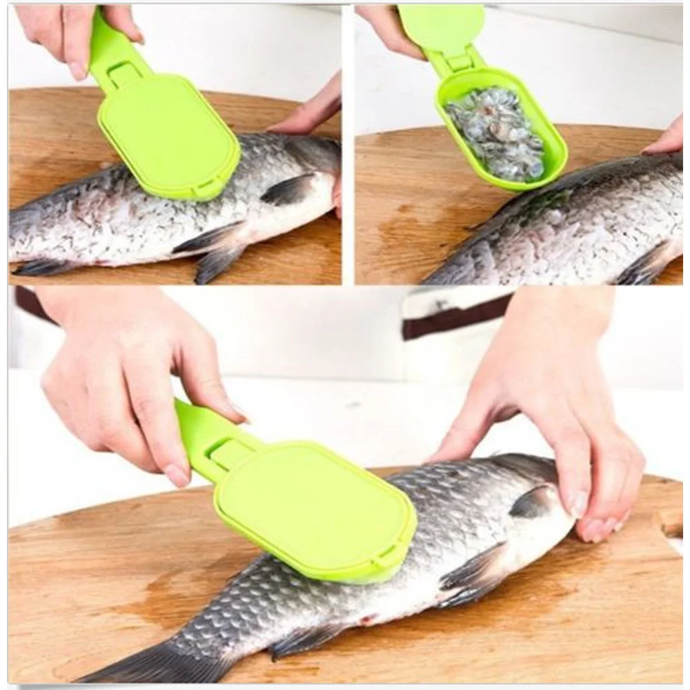 Practical Fish Scaler Clam Opener Scale Scraper Kitchen Tools Accessories Green / Blue / Black
Practical Fish Scaler Clam Opener Scale Scraper Kitchen Tools Accessories Green / Blue / Black