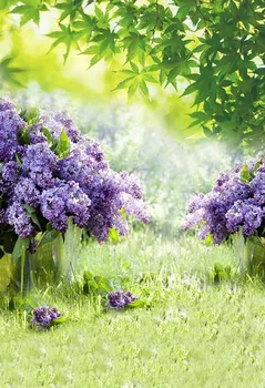 Vinyl Photography Backgrounds Spring Wisteria Flowers Tree Lawn Scenery Decor Children Backdrop for Photo Studio
Vinyl Photography Backgrounds Spring Wisteria Flowers Tree Lawn Scenery Decor Children Backdrop for Photo Studio