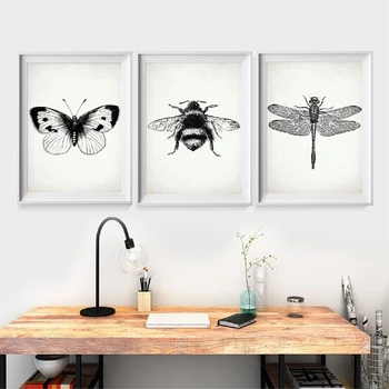 Insect Dragonfly Art Canvas Posters Painting Butterfly and Bumble Bee Pictures Print Nursery Kids Bedroom Wall Decoration
Insect Dragonfly Art Canvas Posters Painting Butterfly and Bumble Bee Pictures Print Nursery Kids Bedroom Wall Decoration