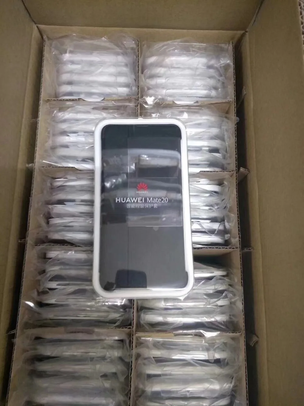 mmexport1539953764870